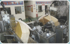 ZCN091DG-2200(1600)四臂全自動(dòng)數(shù)控定子線圈頂弧漲型機(jī)